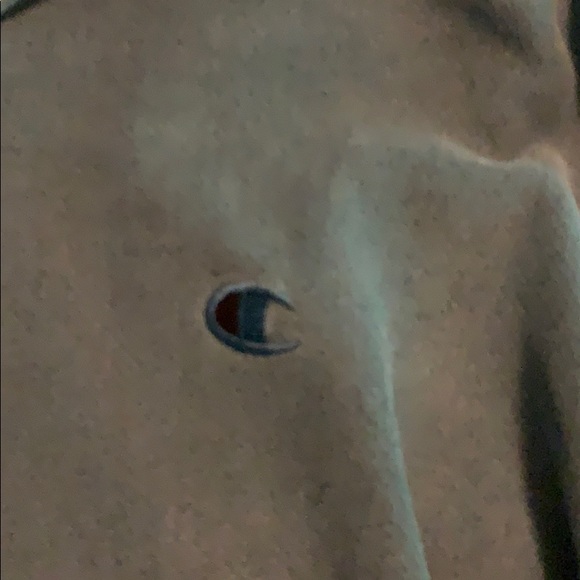 Champion heavy duty hoodie - Picture 3 of 6